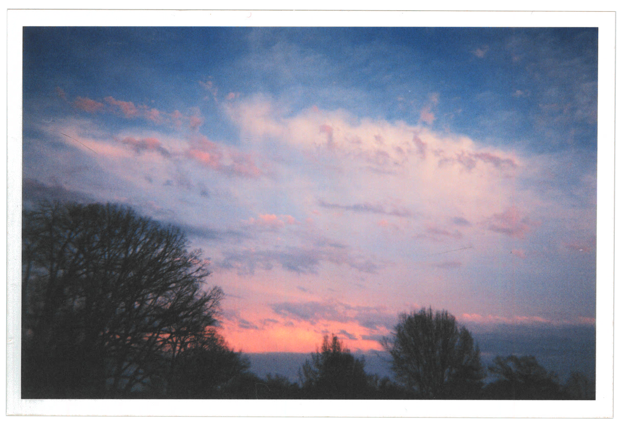 a photo of a very lovely sunset with streaked peach and pink and
      blue, with scattered clouds. it's grounded by the silhouettes of the tops
      of some trees on the bottom. it feels deeply calm and quiet.