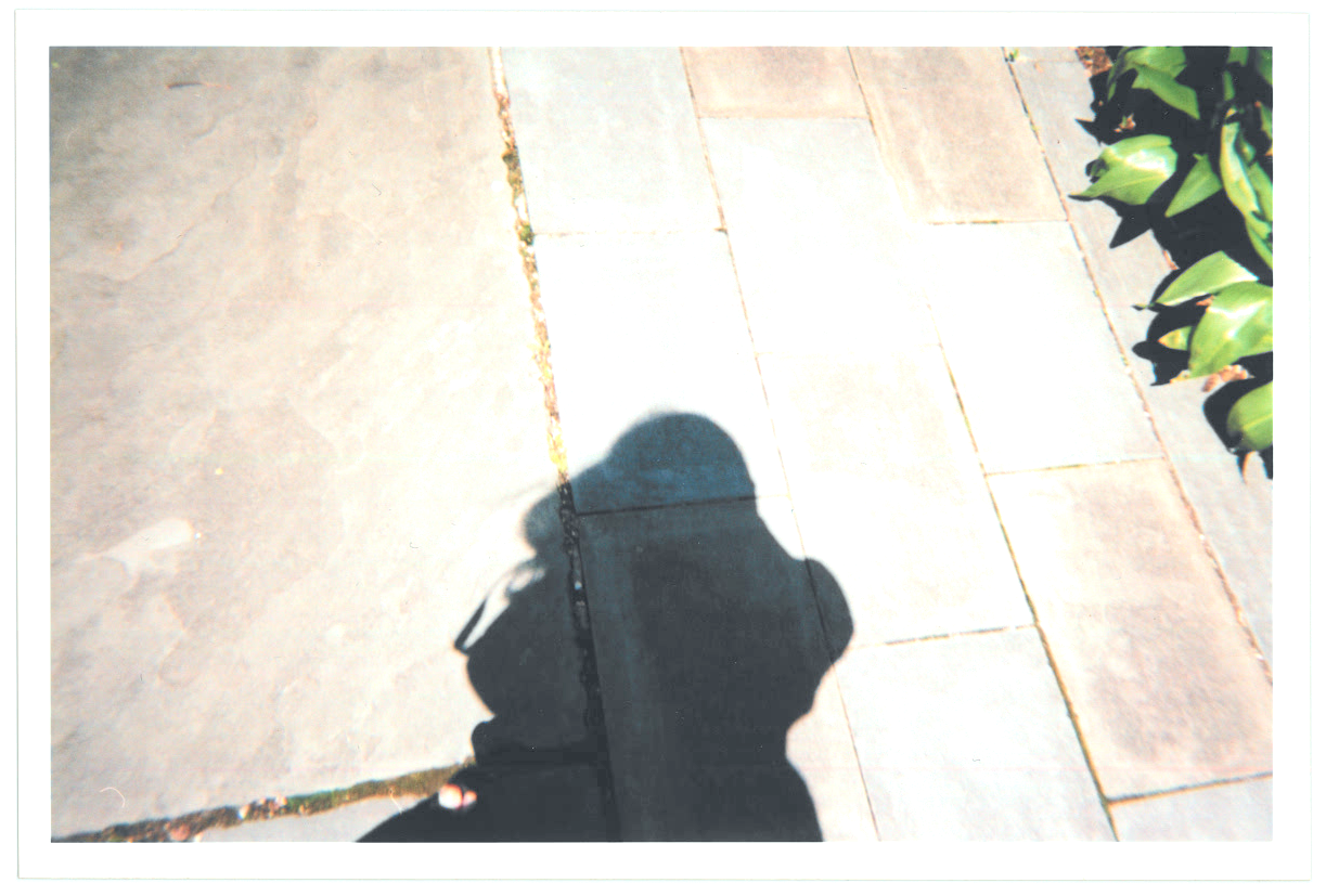 a photograph of the photographer's shadow against bright pavement